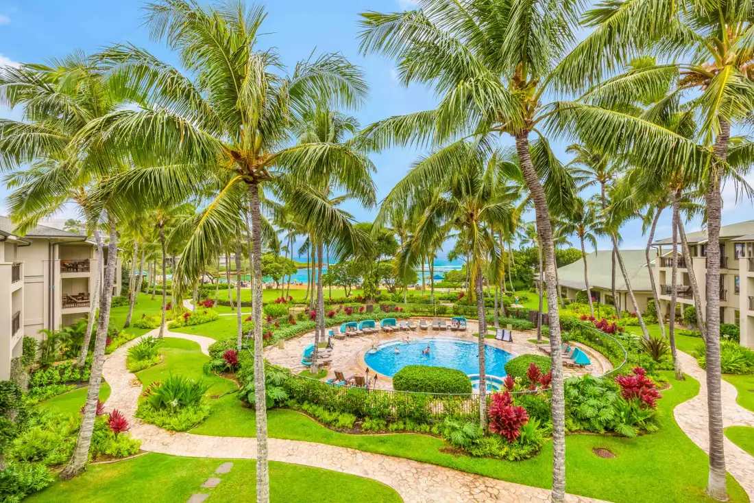 Un patio tropical ajardinado rodea una piscina bajo las palmeras.