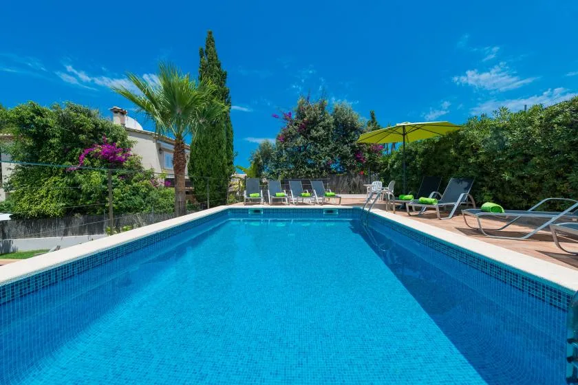 An outdoor swimming pool surrounded by lounge seating and greenery.