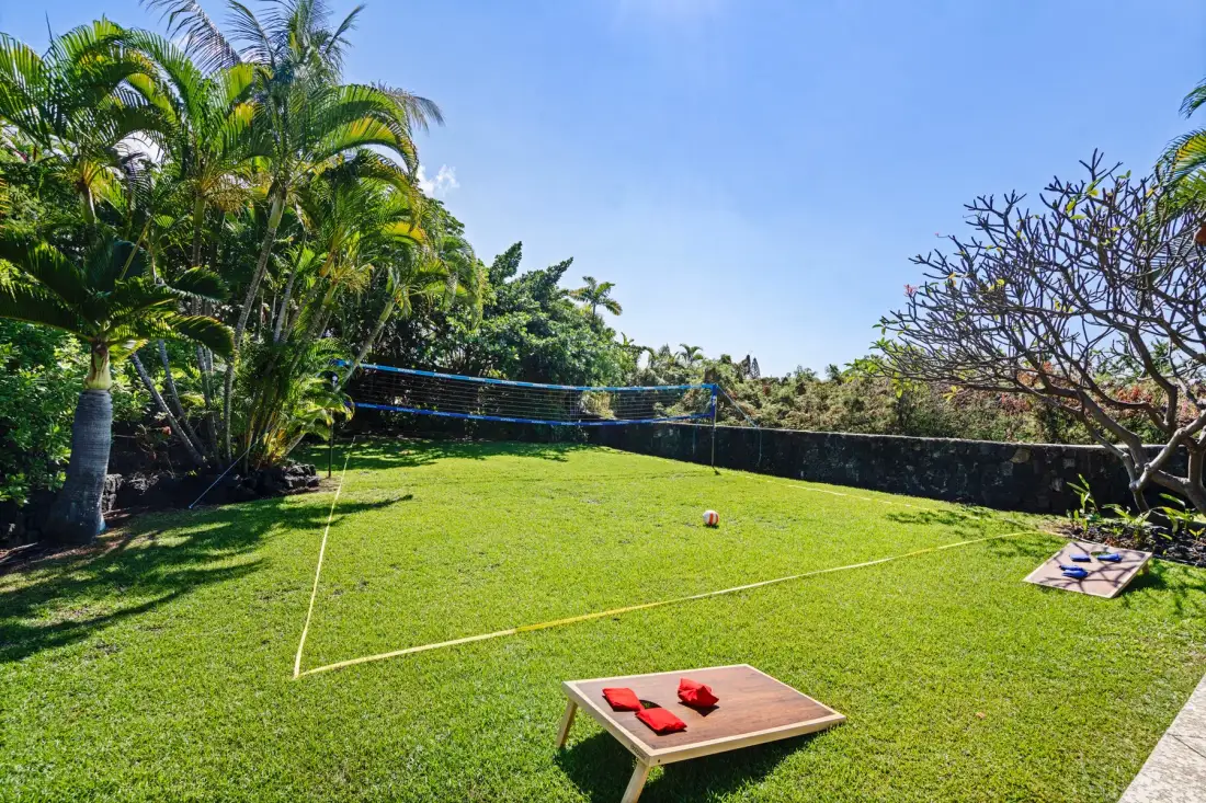 A sunny garden lawn with a net stretched across the grass.