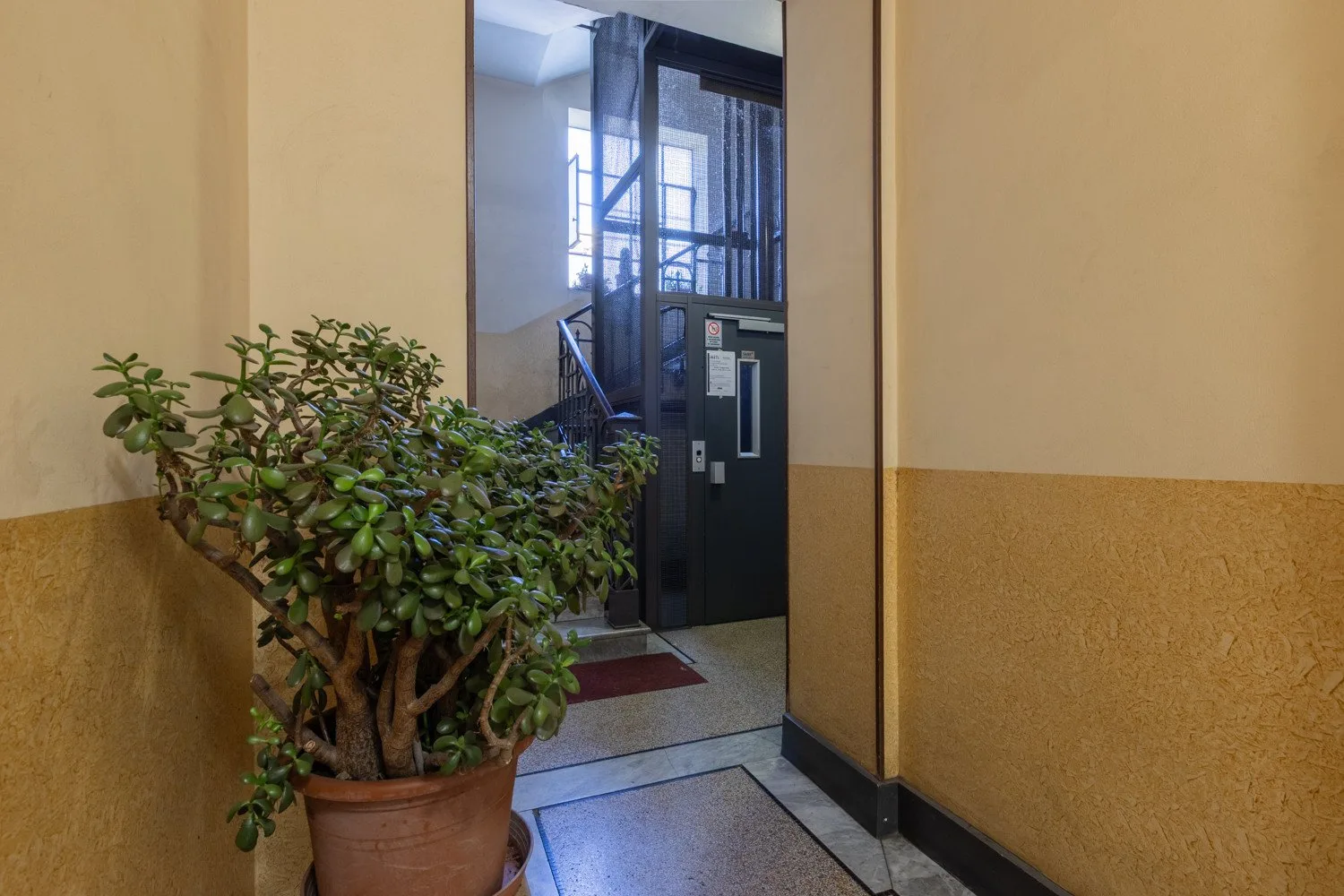 Una entrada interior con una planta en maceta junto a un ascensor oscuro.