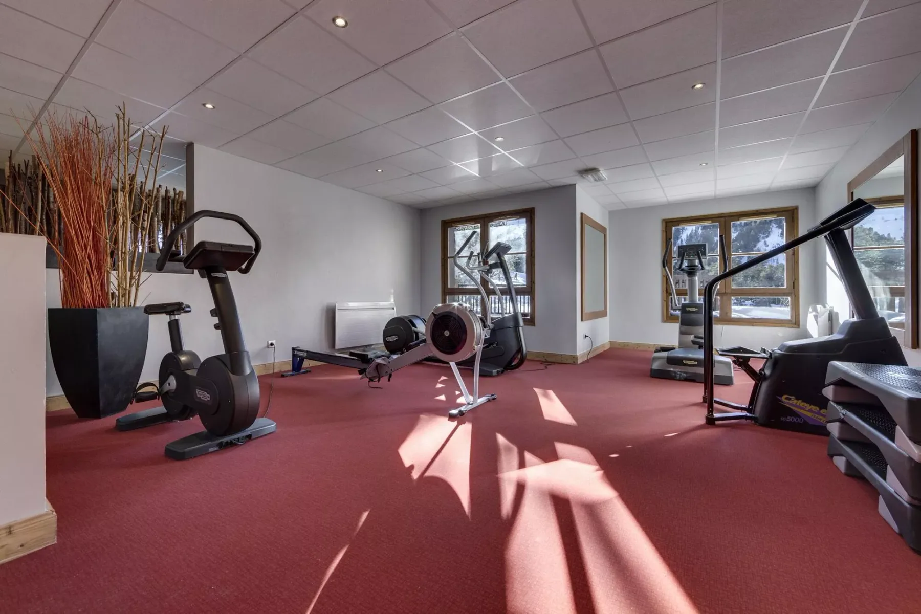 A bright exercise room with workout machines and red carpet.