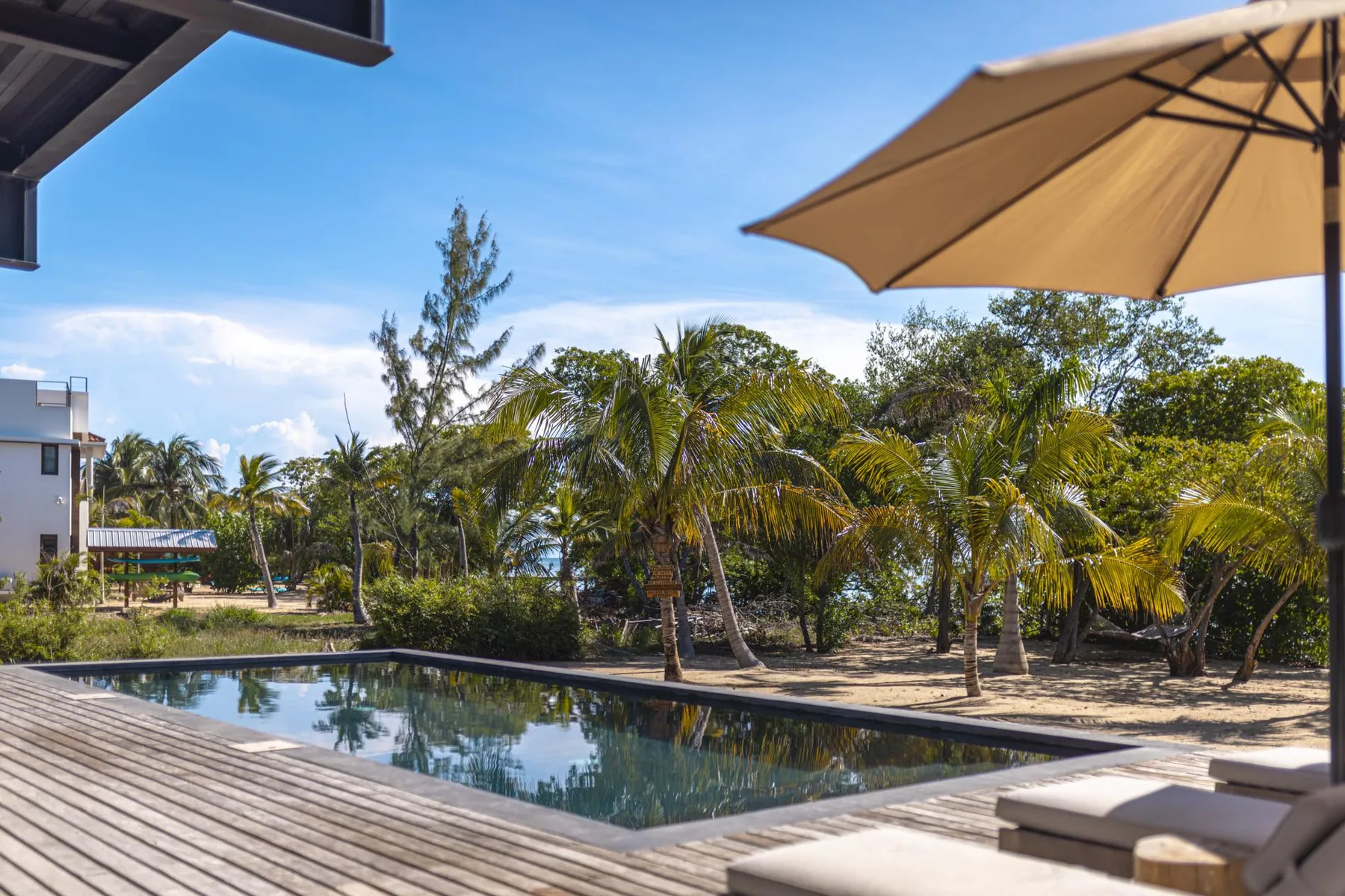 Una piscina al aire libre está junto a una terraza de madera, con palmeras al fondo.
