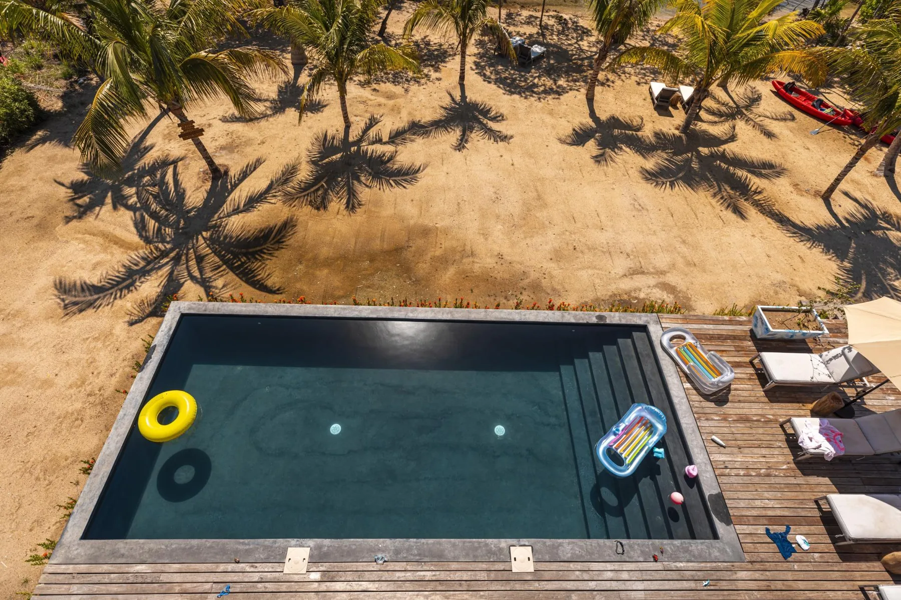 An outdoor swimming pool sits beside a wooden deck, with palm trees beyond.