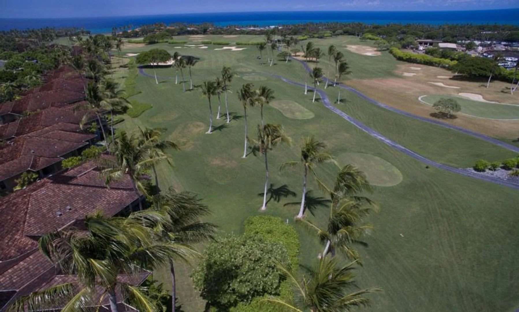 An aerial view of a golf course with palm trees and the ocean beyond.