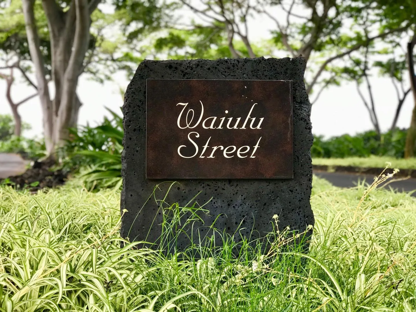 An outdoor street sign stands among grass beneath leafy trees.