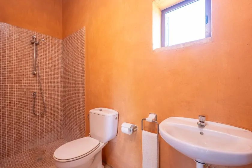 Un baño con inodoro, lavabo y ducha de pared.