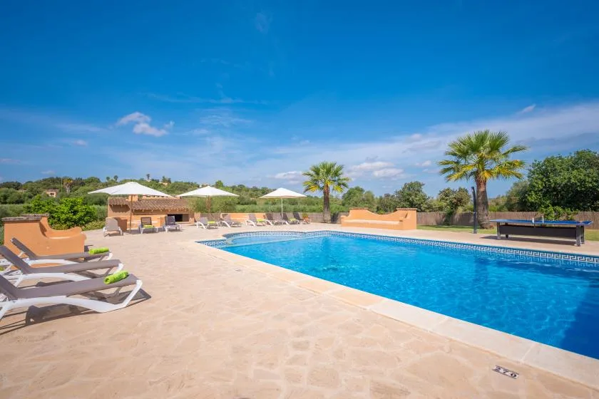 Una piscina está rodeada por un patio soleado con asientos reclinables y palmeras.