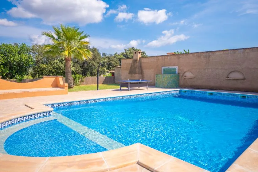 Una piscina ocupa un patio al aire libre junto a una palmera y muros color beige.