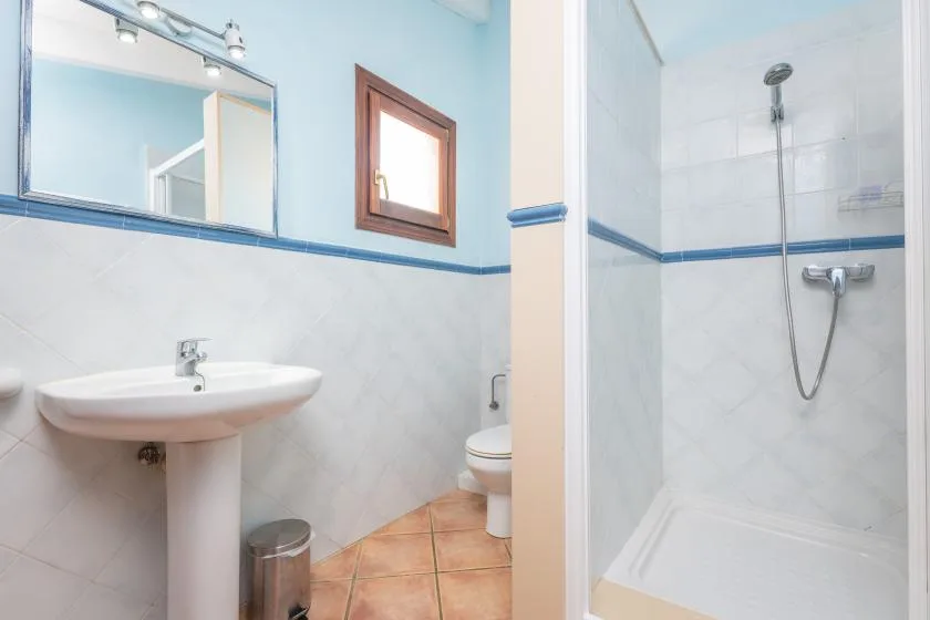 Un baño con lavabo de pedestal, inodoro y ducha.