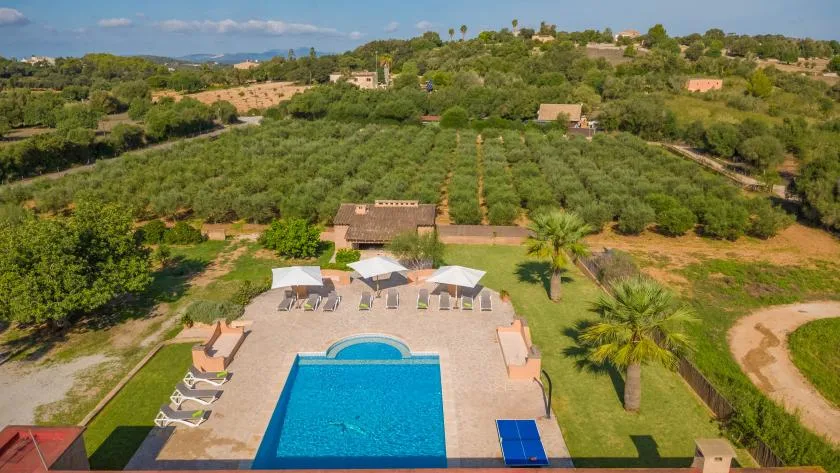 Una piscina al aire libre y un patio junto a hileras de árboles en un paisaje verde.
