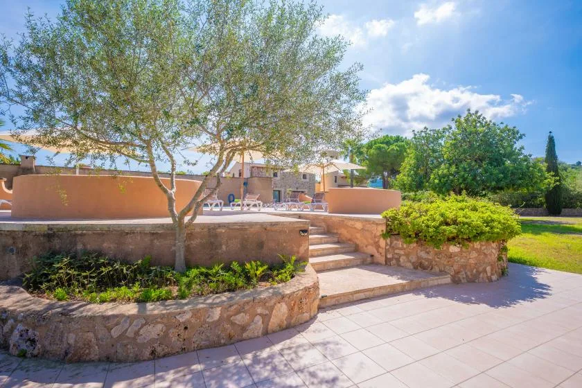 Un patio exterior con jardineras bajas de piedra, vegetación y escalones hacia una zona de estar.