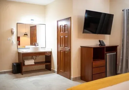 Hotel room with bed, television, sink and mirror.