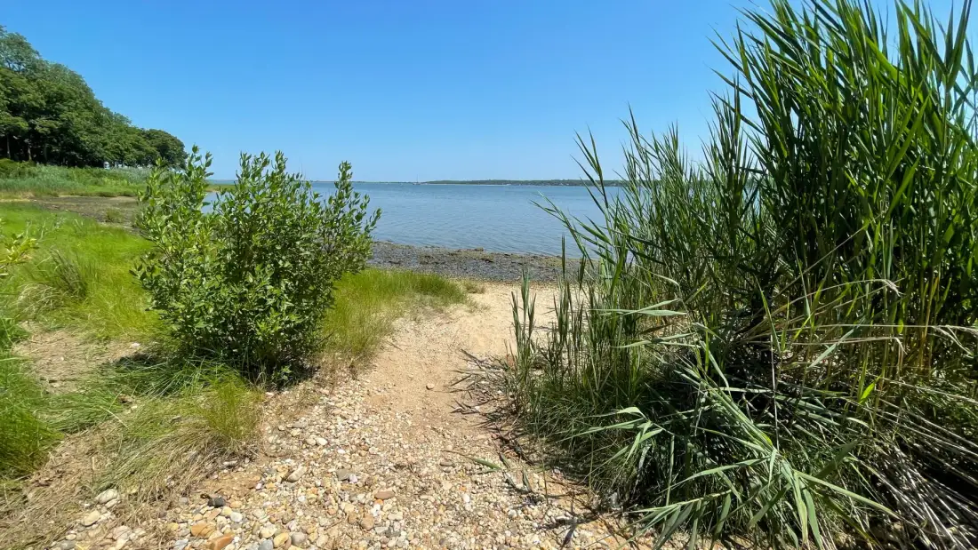 A sandy path leads through shoreline vegetation to a calm body of water.