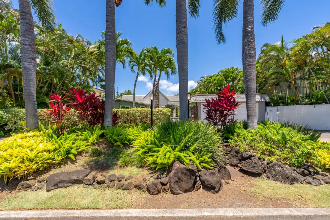 Un jardín tropical ajardinado con palmeras, plantas coloridas y un borde bajo de piedra.