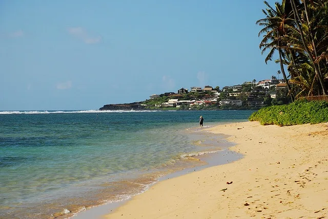 Una playa de arena bordea aguas azules tranquilas bajo una colina costera.