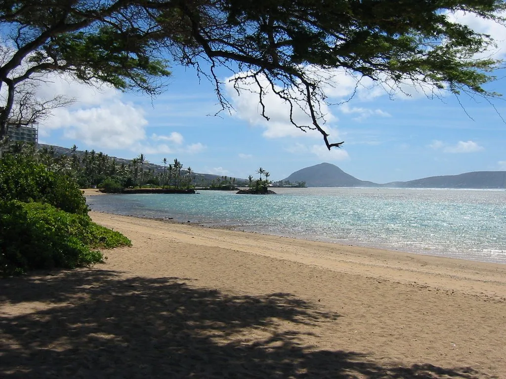 Una playa de arena y una bahía tranquila quedan bajo ramas de árboles.