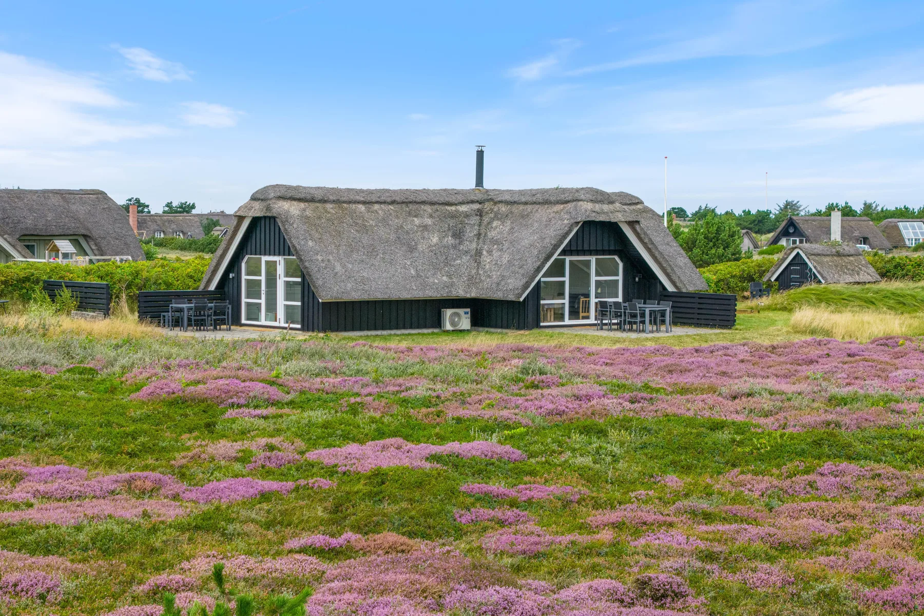 A thatched house stands behind a field of flowering purple heather.