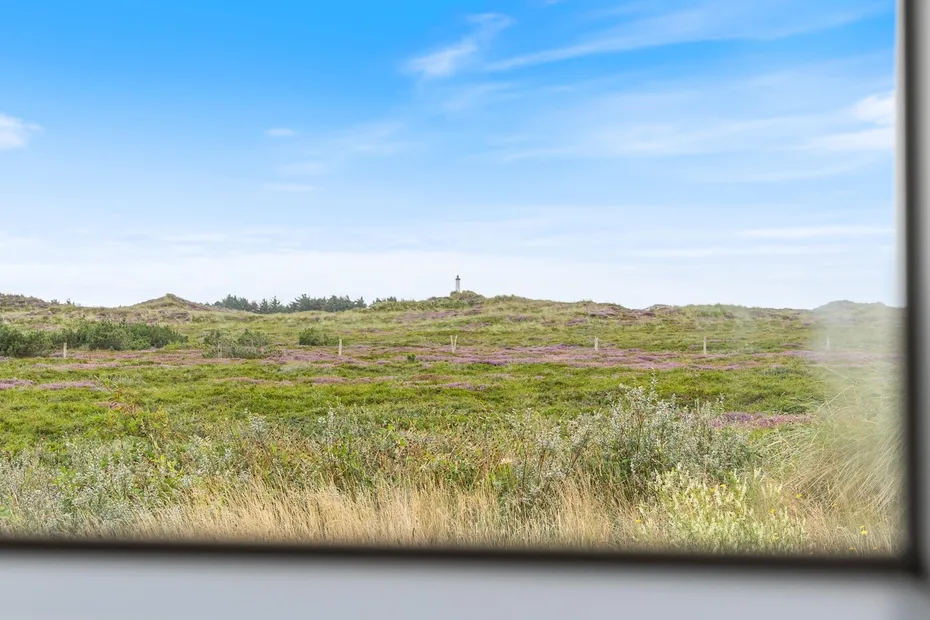 A view of open grassy heathland beneath a blue sky.