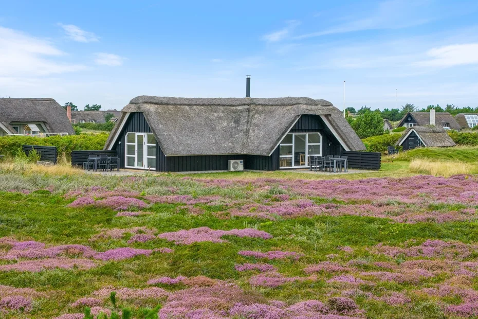 A thatched-roof cottage stands behind a field of purple flowers.