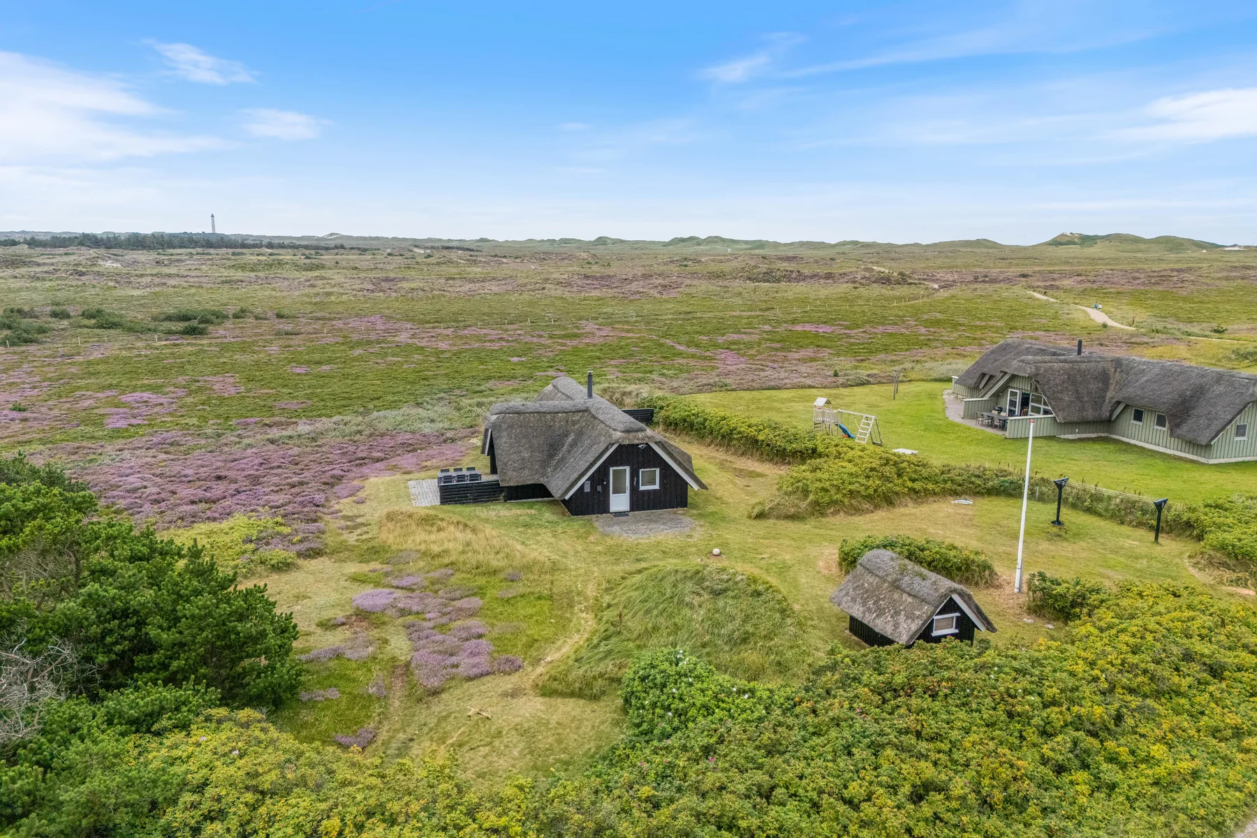 Several cottages sit among flowering heathland beneath a blue sky.