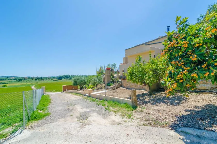 Una casa junto a un camino de grava, con campos verdes y arbustos en flor.