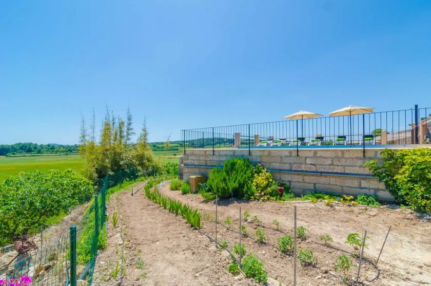 Un sendero de jardín conduce a una terraza elevada con asientos al aire libre y sombrillas.