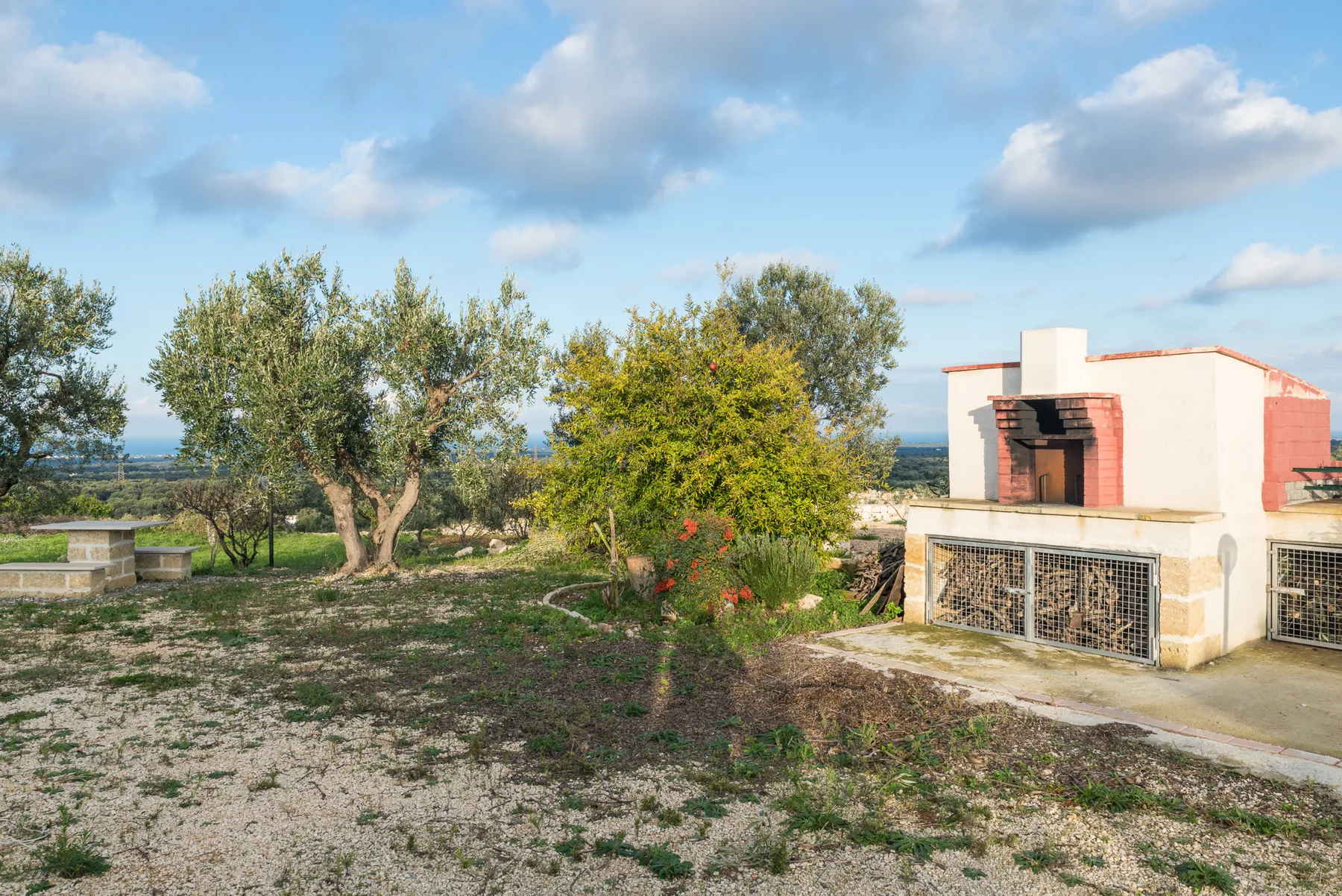 A garden with trees and shrubs beside a small white outbuilding.