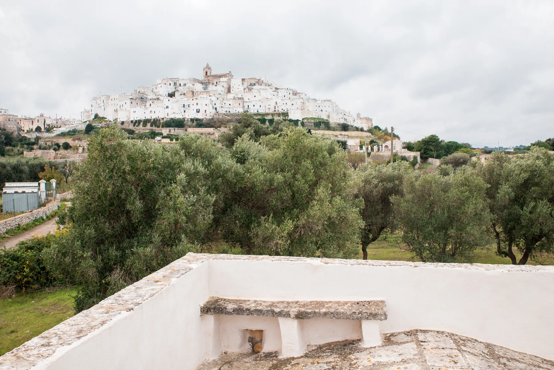 A hillside town rises above a grove of trees, viewed from a white terrace.