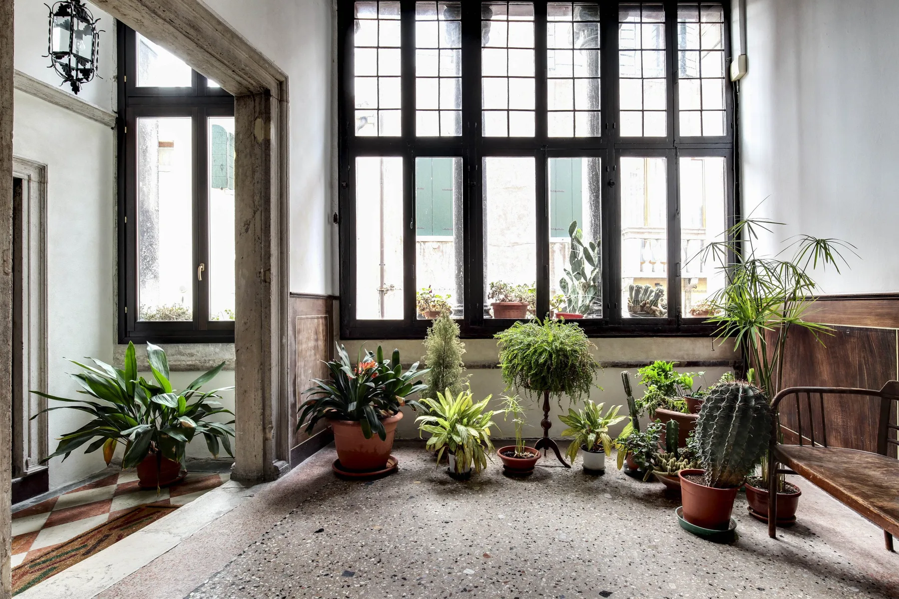 A bright room with large gridded windows and potted plants.
