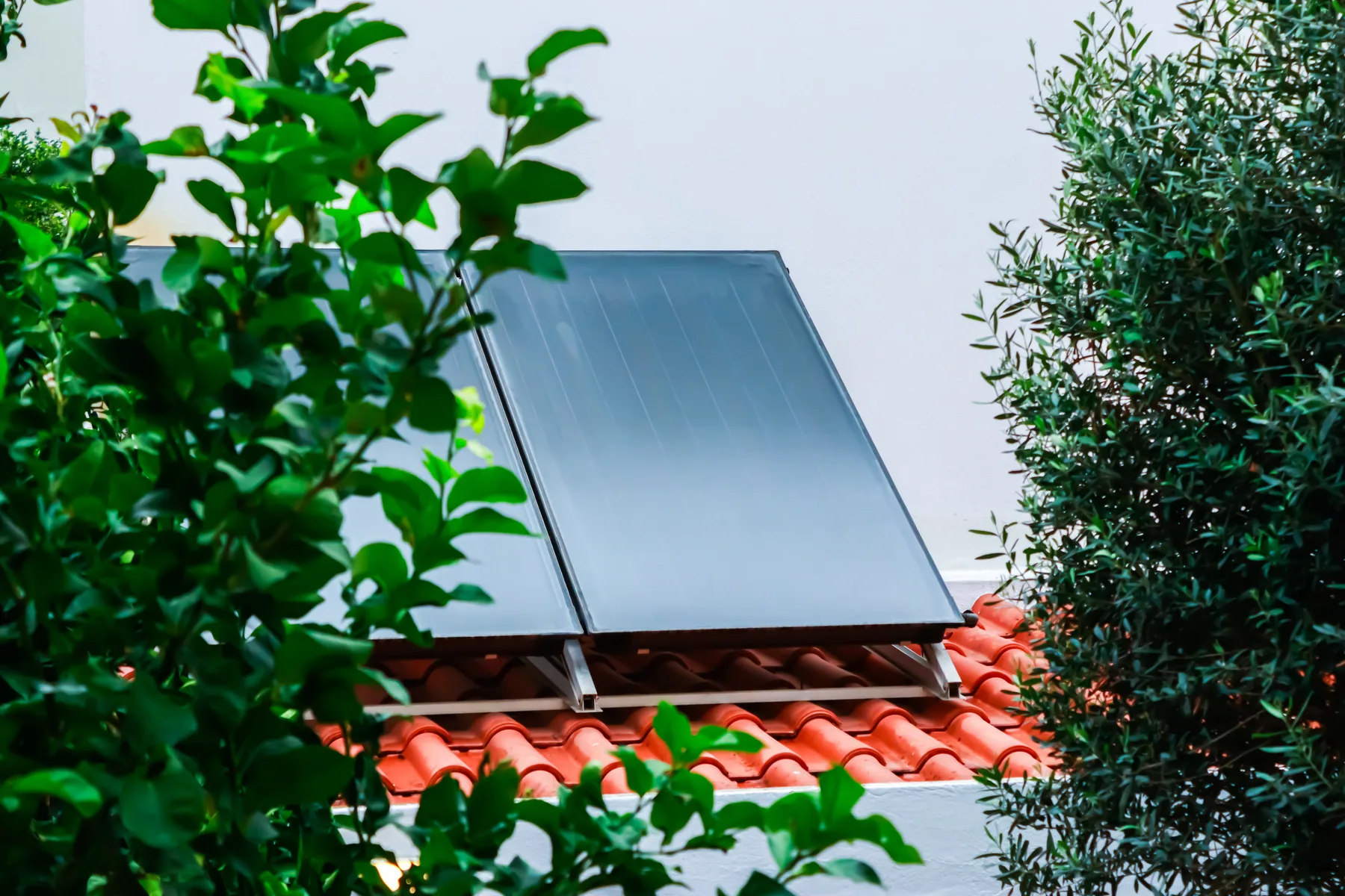 A solar panel is mounted above a red tiled roof, partly framed by leafy branches.