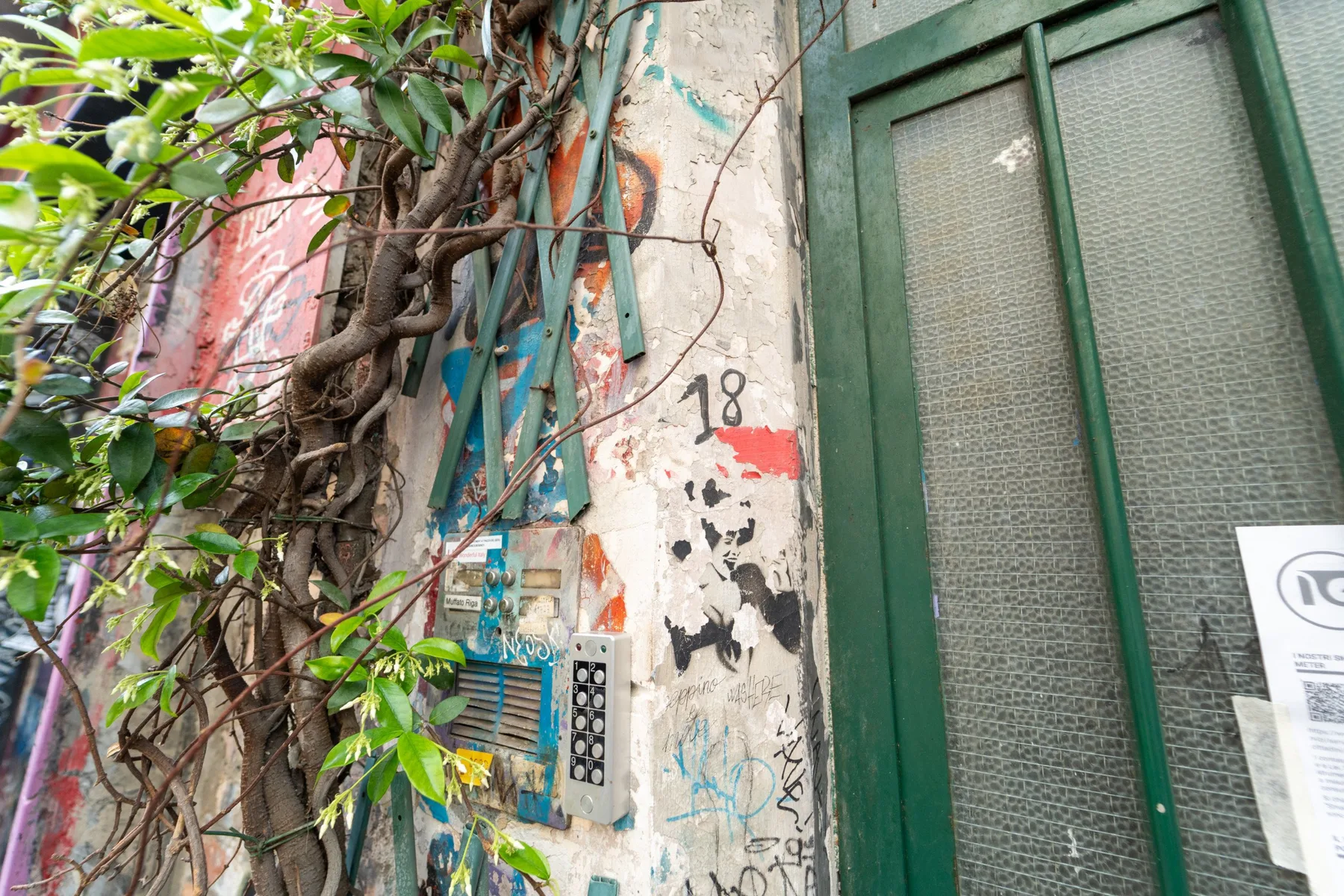 A green-framed glass doorway beside a wall covered with climbing vines and graffiti.