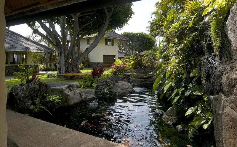 Un estanque de jardín fluye entre rocas y plantas tropicales junto a un edificio.
