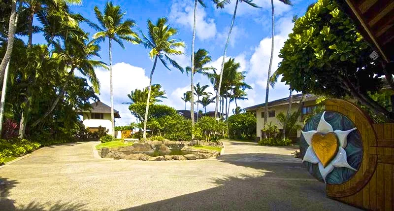 Un patio tropical con palmeras, vegetación y un sendero pavimentado.