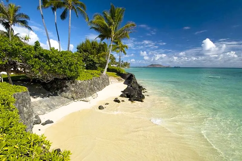 Una playa tropical con agua turquesa clara, arena pálida y palmeras.
