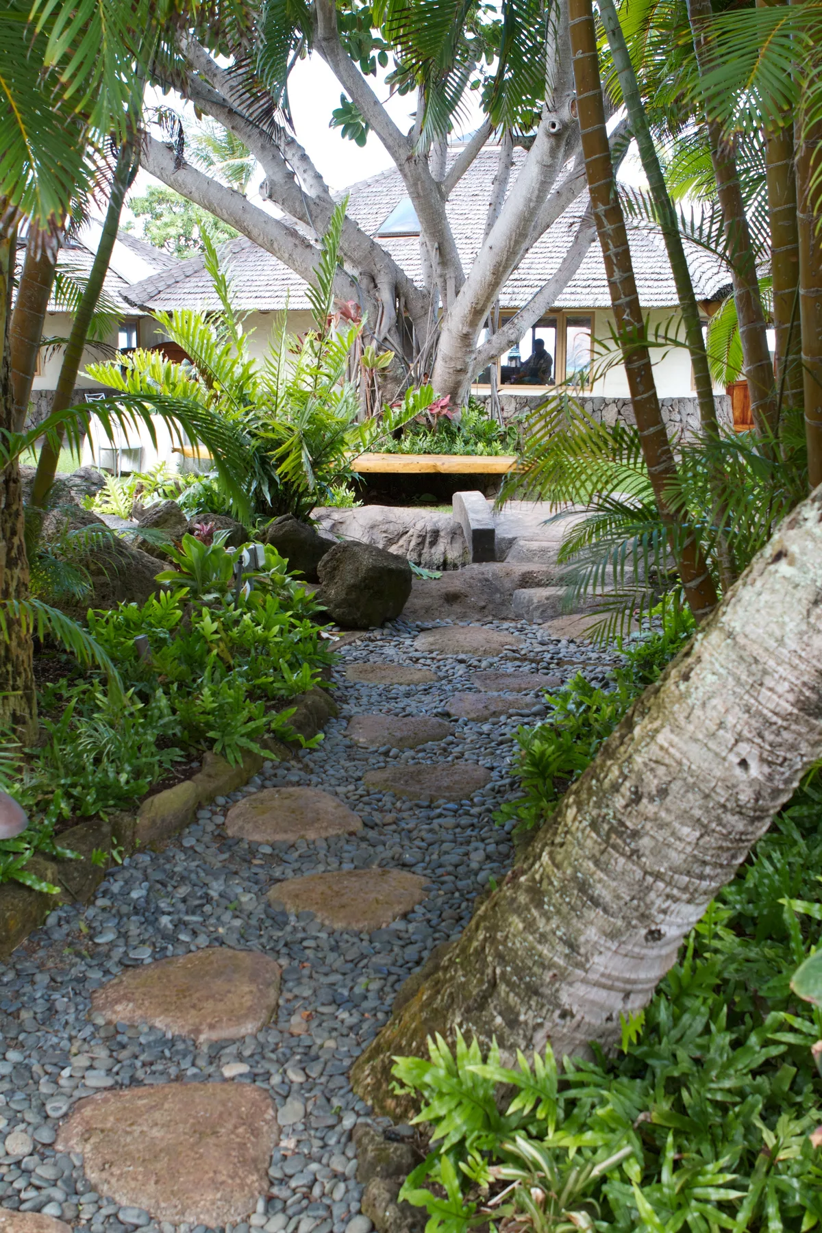 Un sendero de piedras atraviesa un jardín de exuberantes plantas tropicales.