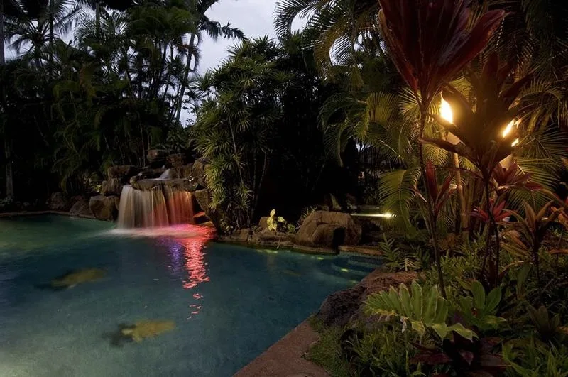 Una piscina con una pequeña cascada está rodeada de exuberantes plantas tropicales.