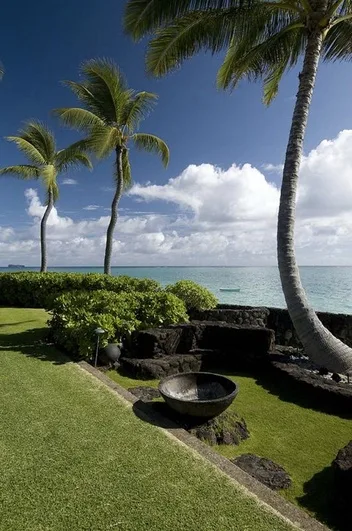 Un jardín tropical con césped y palmeras da al océano.