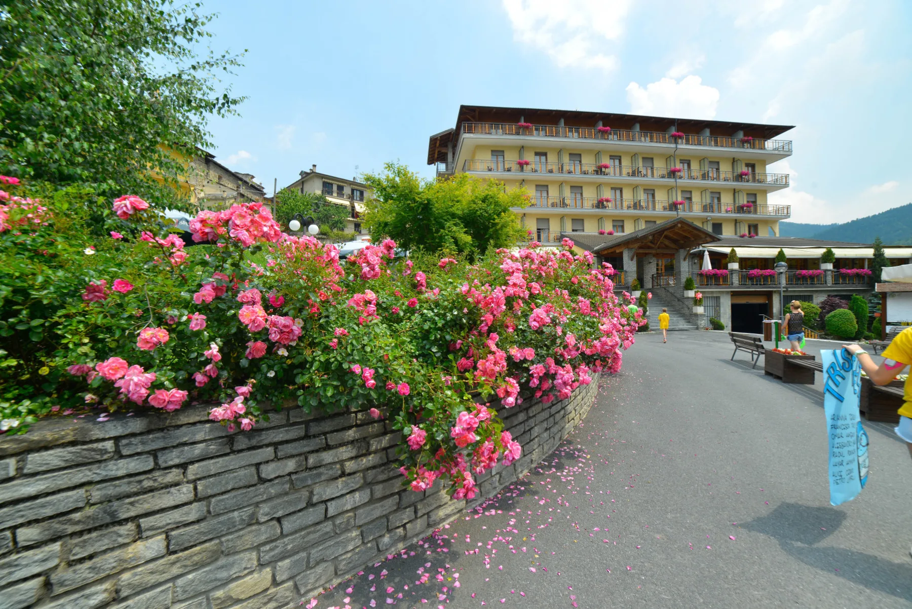 Tradición y confort - Hotel Monte Nebin
