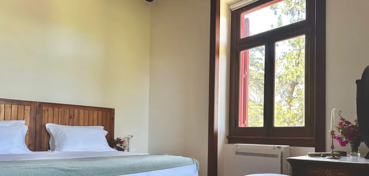 Suite con cama queen
