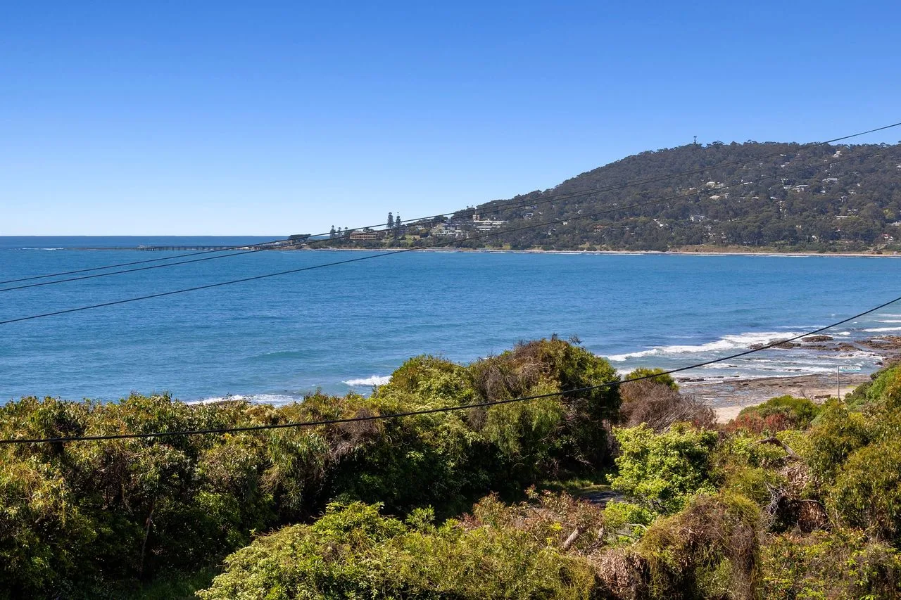 A coastal view shows blue ocean, shoreline vegetation, and a wooded hillside.