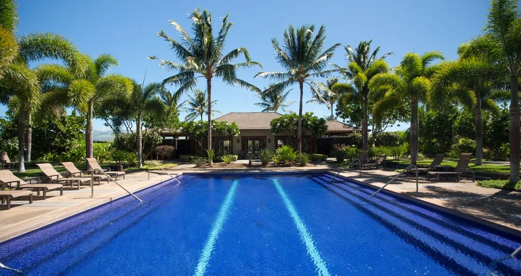 A blue swimming pool is surrounded by palm trees and outdoor seating.