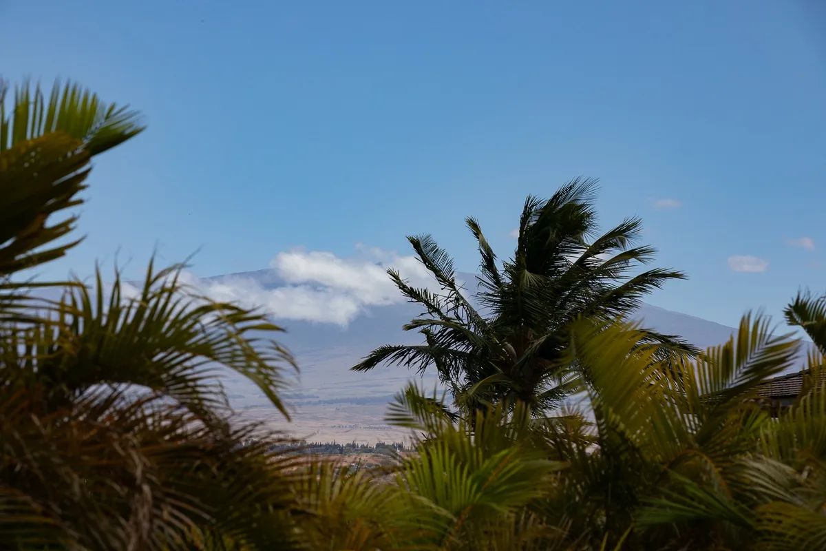Palm trees frame a distant mountain range beneath a blue sky.