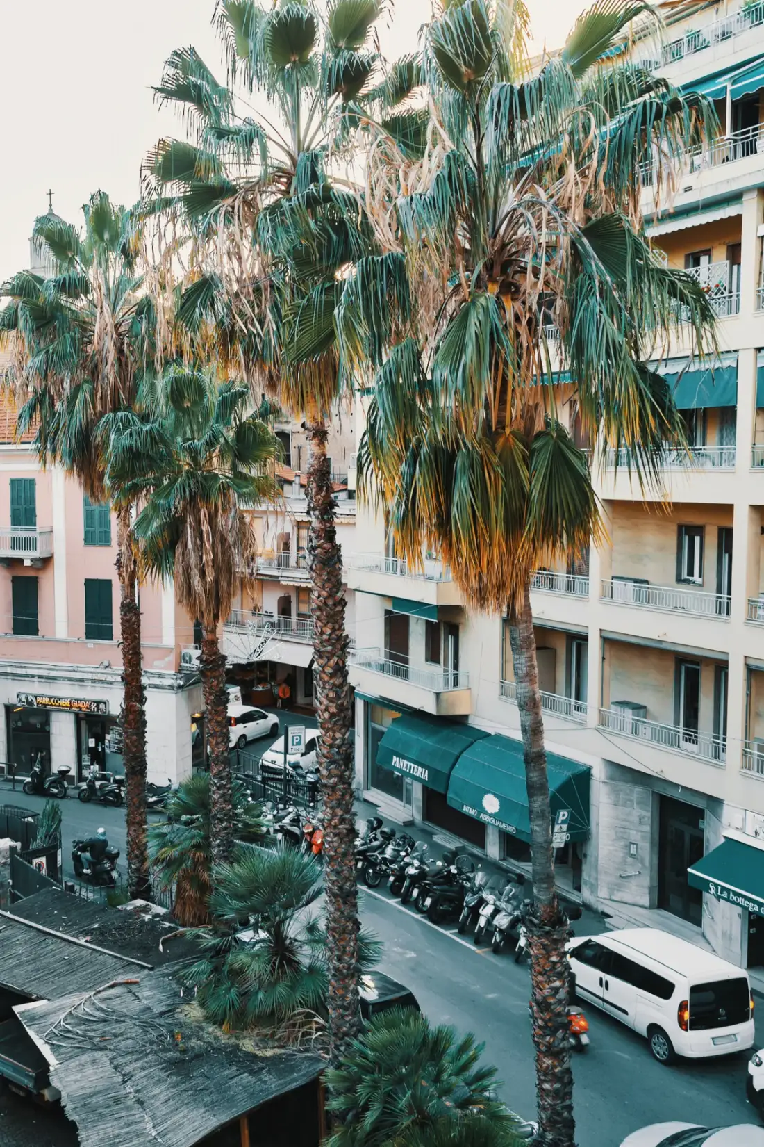 A city street lined with palm trees and multi-story buildings.