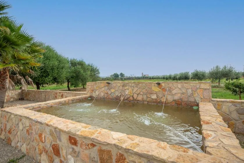 Una piscina exterior revestida de piedra, con chorros de agua, está rodeada de árboles bajo un cielo despejado.