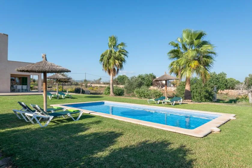 Una piscina al aire libre está en un jardín con césped, palmeras y tumbonas.