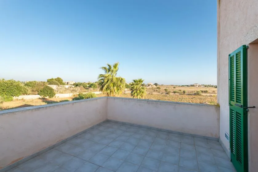 Una terraza embaldosada da a un paisaje seco con palmeras.