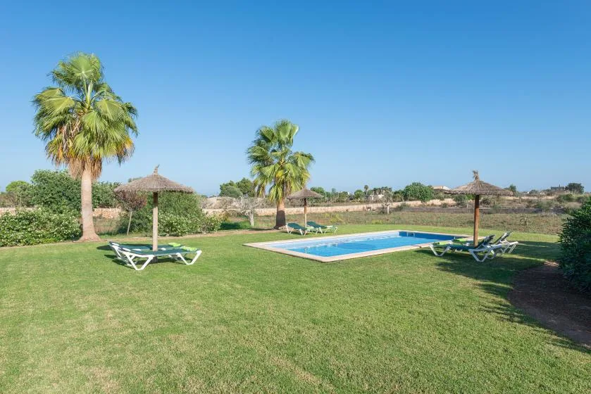 Una piscina al aire libre está en un jardín con césped, palmeras y tumbonas.