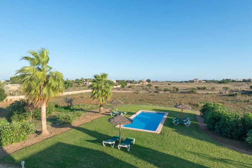 Una piscina está en una zona exterior con césped, palmeras y tumbonas.