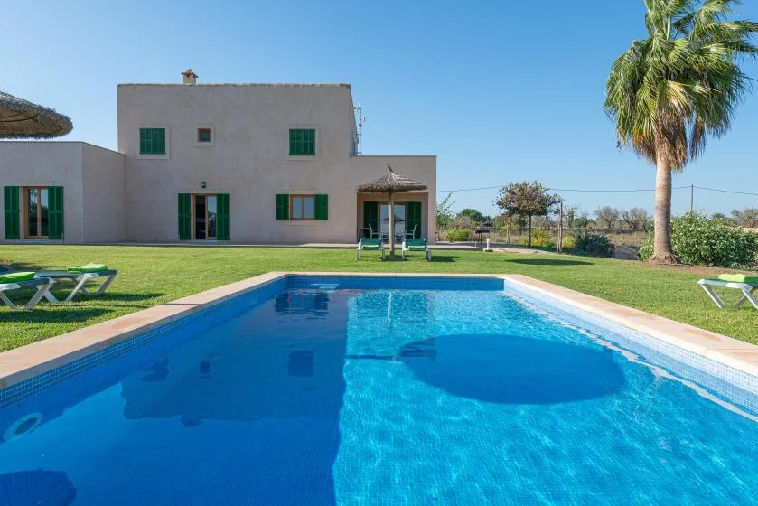 Una piscina ocupa el primer plano, con una casa moderna y una palmera al fondo.
