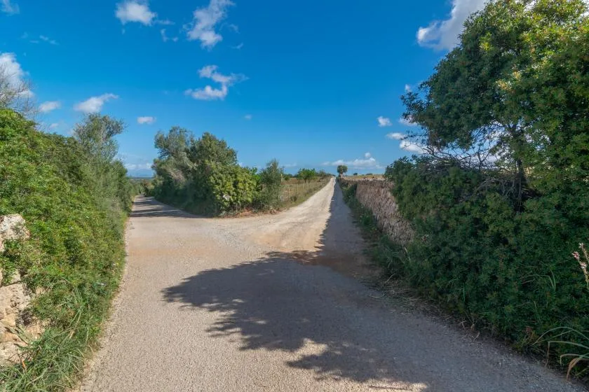 Un camino rural pasa entre muros de piedra y vegetación verde bajo un cielo azul.